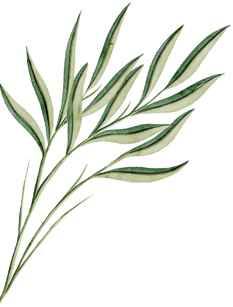water color leaves