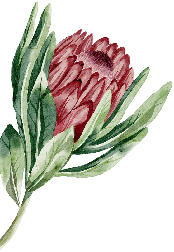 watercolor flower